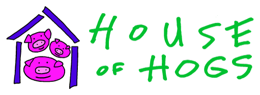 Primary logo — full color