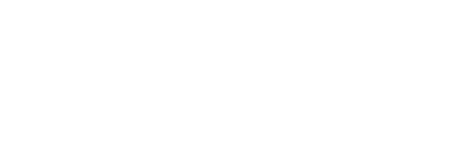 Primary logo — white