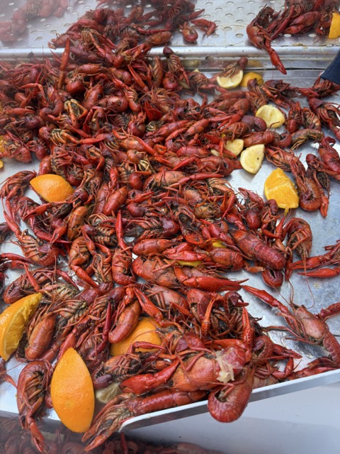 Guests enjoying the Boil for a Cause crawfish boil in Rhode Island